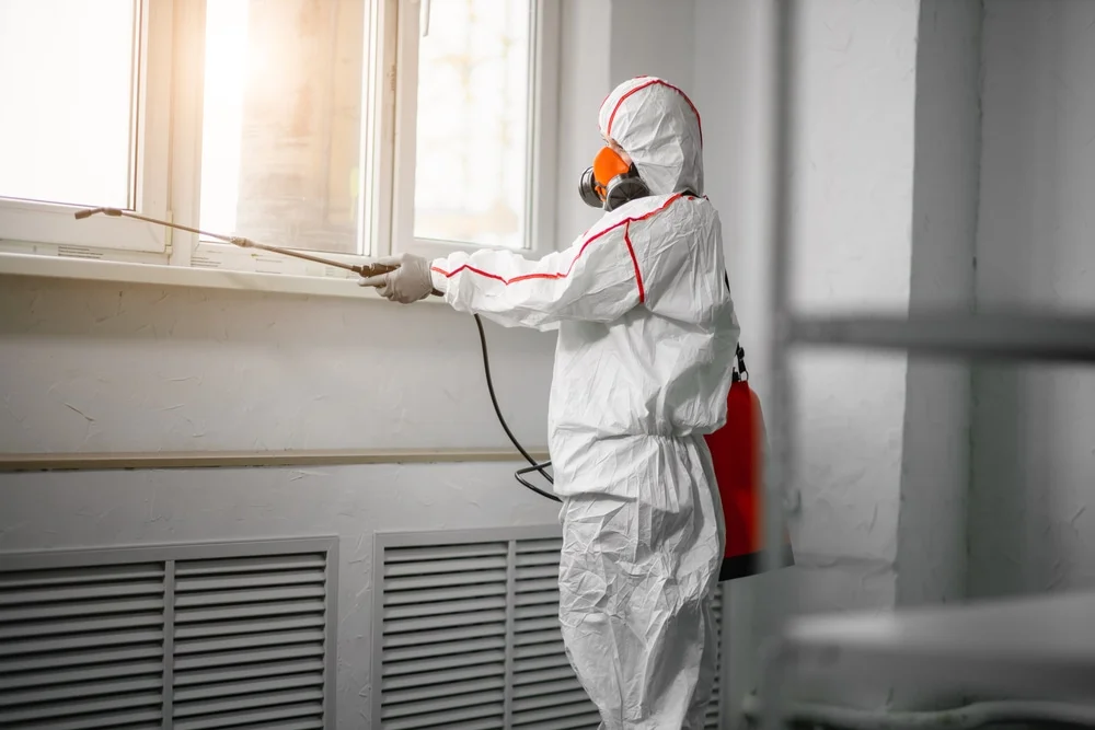 Professional mold remediation services in Eustace, TX